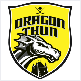 Verein-Logo-hc-dragon-thun